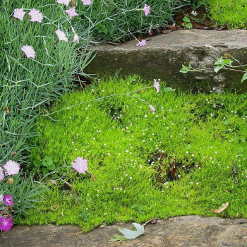 Obrázok (7) Obrázok (7)