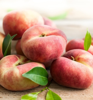 Broskvo� zplo�t�l� 'SANDWICH WEISS', podn. BSB-1, 170-180 cm, kont. 10 l