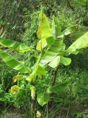 Obr�zok (1)