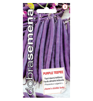 Semena - FAZOLE  'PURPLE TEEPEE'