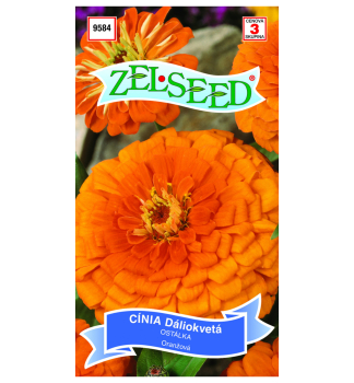 Semena - OST�LKA SLI�N� oran�ov�