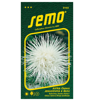 Semena - HV�ZDNICE JEHLICOVIT� �ELEKTRIC� b�l�