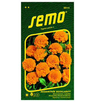 Semena - AKSAMITNK ROZLOIT PETIT oranov