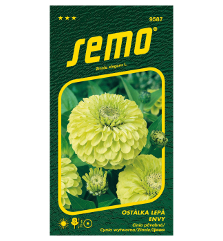 Semena - OST�LKA �ENVY� zelen�