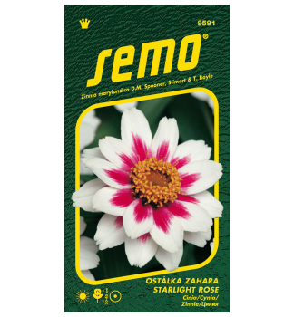 Semena - OST�LKA �ZAHARA STARLIGHT ROSE�