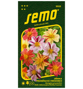 Semena -  JI�INA PROM�NLIV� �FIREWORKS�