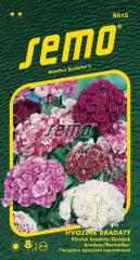 Semena - HVOZD�K BRADAT�