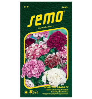 Semena - HVOZD�K BRADAT�