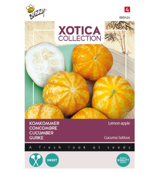 Semena - XOTICA OKURKA LEMON APPLE