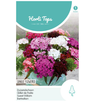 Semena - HVOZD�K BRADAT� �SWEET WILLIAM�