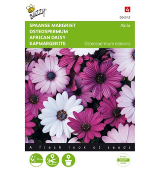 Semena - OSTEOSPERMUM AKILA mix