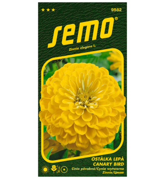 Semena - OST�LKA �CANARY BIRD�