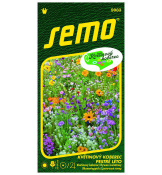 Semena - Sms kvtinov koberec PESTR LTO 