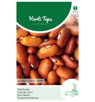Semena - FAZOLE BROWN DUTCH 25 g