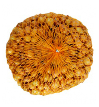 Cibulka sazeka STUTGARDSK 8 -21 mm, 250 g