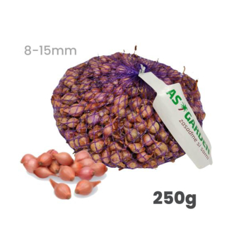 Cibulka saze�ka �ROSANNA� 8-15 mm, 250 g