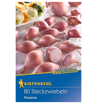 Cibulka sazeka ROSANNA 80 ks