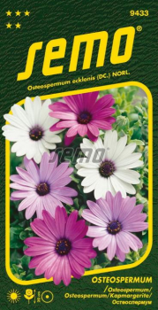 Semena - OSTEOSPERMUM �BALADE MIX�