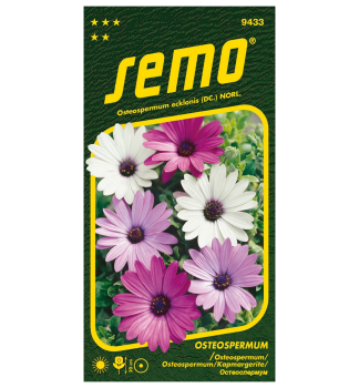 Semena - OSTEOSPERMUM �BALADE MIX�