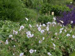 Obr�zok (4)