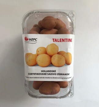 SADBOV BRAMBORY 'TALENTINE' 1kg /vanika