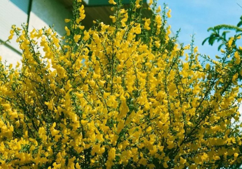 Obrzok (4)