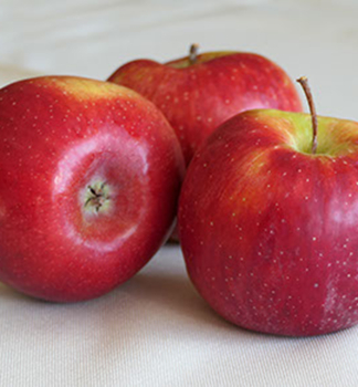 Jablo RUBELIT podn. M26, prostok.