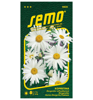 Semena - KOPRETINA VELKOKVET� �SHASTA DAISY�