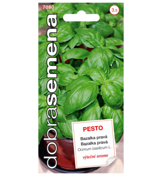 Semen - BAZALKA PRAV PESTO GENOVESE