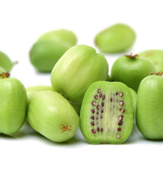 Mini kiwi ROGW 60-70 cm, kont. 1,6 l, vyvzan