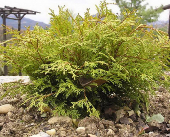 Obr�zok (4)