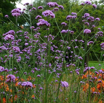 Obrázok (9) Obrázok (9)