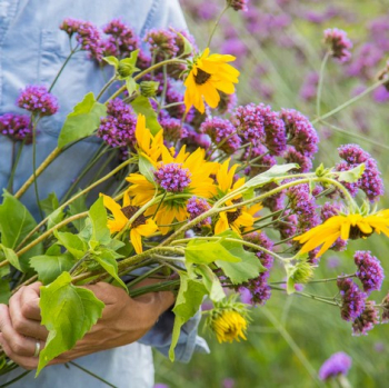 Obrázok (10) Obrázok (10)