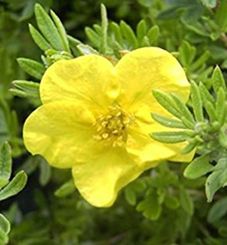 Obrzok (8)