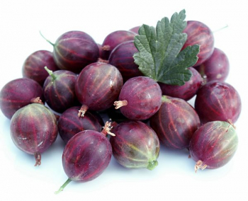 Obrzok (1)