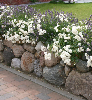 Obrzok (4)