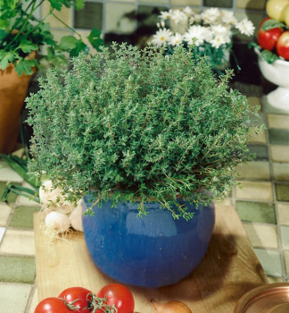 Obrzok (2)