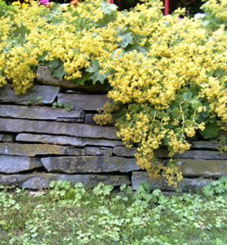 Obrzok (3)
