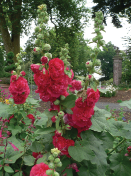 Obr�zok (3)