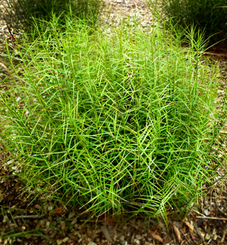 Obrzok_(1)