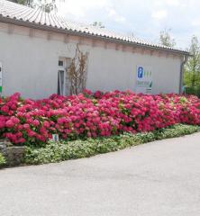 Obrzok (3)