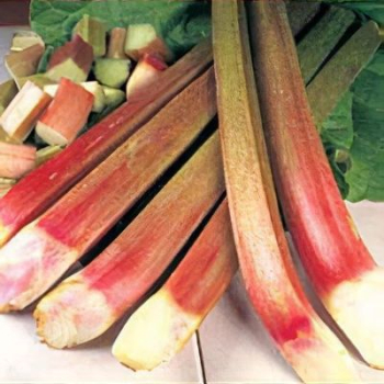 Reve� kade�av� �PONCHO�, kont. 1 l