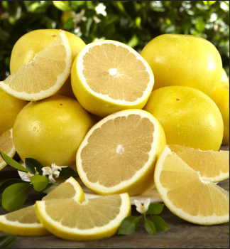 Grepovnk bezsemenn MARSH SEEDLESS 60-70 cm, kont. 2 l