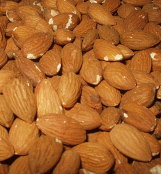 Mandloò sladkoplodá ´VAMA´ podn. semenáè, 180-200 cm, kont. 10 l