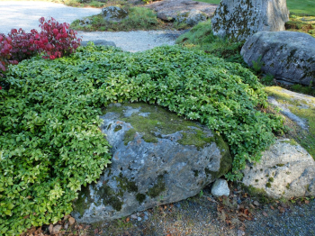 Obrzok (6)