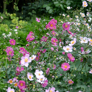 Obrázok (3) Obrázok (3)