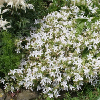 Obrázok (7) Obrázok (7)