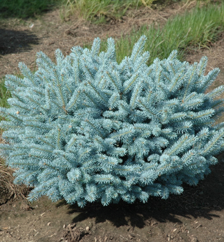 Obrzok (2)