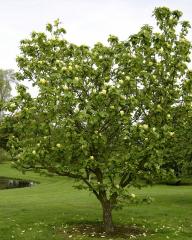Obrzok (1)