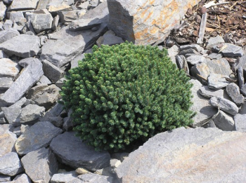 Obrzok (2)